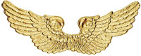 Goldene Engelsflügel Kunststoff 90cm