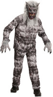 Voorvertoning: Weerwolf kostuumaccessoires - masker en handschoenen