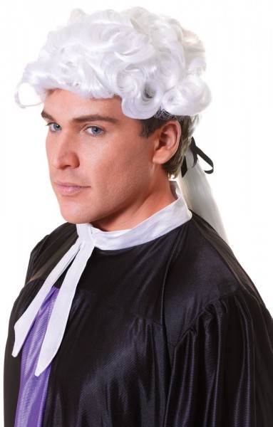 Baroque lawyer men's wig Modesto
