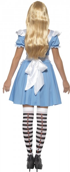 Alice in the wonder forest ladies costume 3