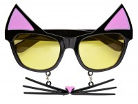 Widok: Śmieszne okulary kociak z wąsami