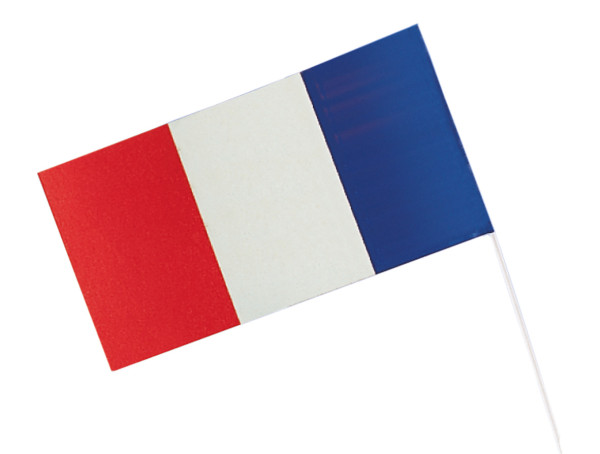 Frankrijk vlag Vive la France