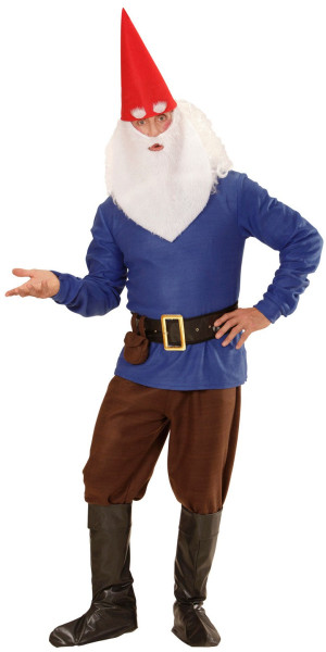 Men's dwarf costume blue