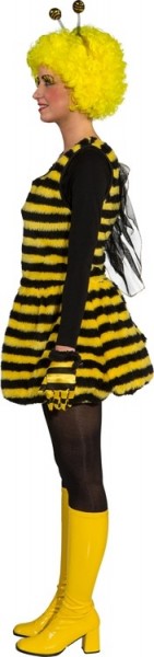 Funky Honeybee Dress