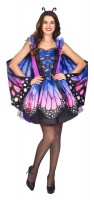 Vorschau: Schmetterling-Kostüm Violetta für Damen