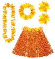 Oversigt: Miss Hawaii kostume sæt orange