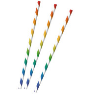 12 Paper Straws Rainbow Stripes 23cm