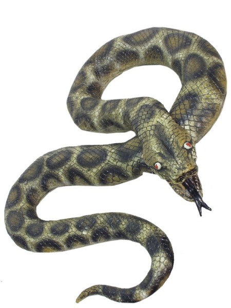 Gigantyczny Python Paul