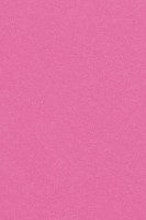 Obrus z tworzywa sztucznego Mila różowy 1,37 x 2,74m