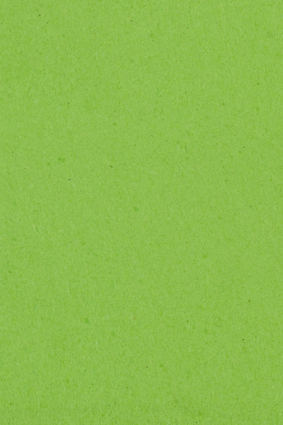 Tovaglia in rotolo kiwi-verde 1 x 30,5m