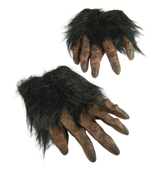 Hairy chimpanzee hands