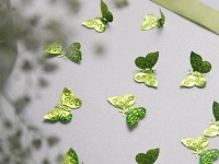 Förhandsgranskning: 15g scatter dekoration holografiska fjärilar