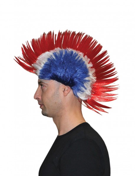 France Iroquois Party Wig