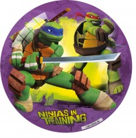 Oversigt: Ninja Turteles plastkugle 23cm