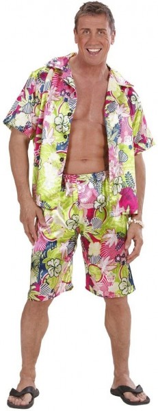 Exciting Hawaii men's costume 2