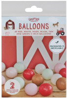 Aperçu: XX ballons en latex Nature Color 13cm
