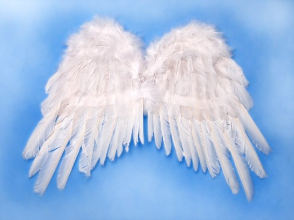 Noble ailes d'ange Elisa blanc 2