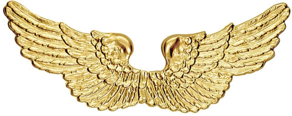 Goldene Engelsflügel Kunststoff 90cm