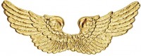 Gouden engelenvleugels plastic 90cm