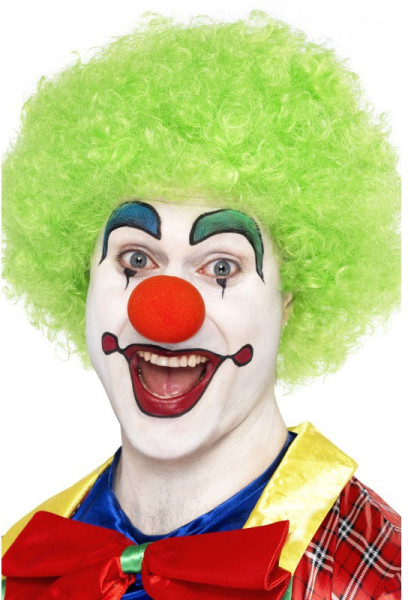 Perruque de clown heureux vert