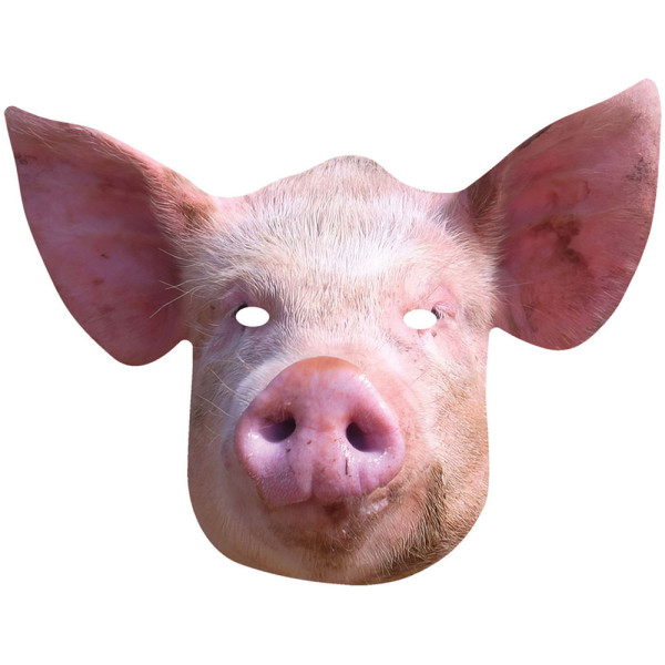 Schweine Maske aus Pappe