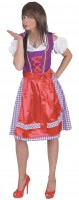 Preview: Eve Midi Dirndl purple-red