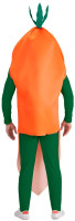 Preview: Carrot costume carrot