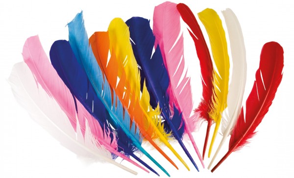 12 plumes indiennes colorées
