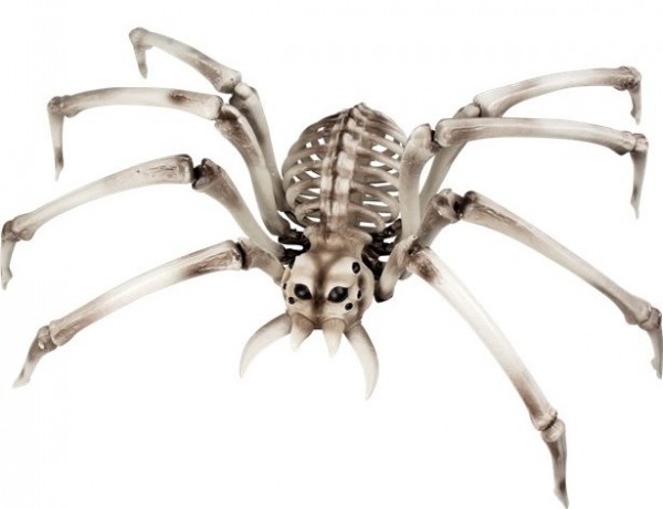 Unheimliches Spinnen Skelett 84cm