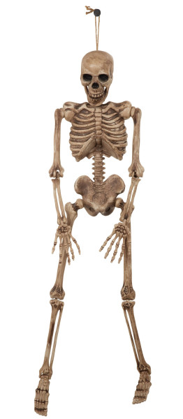 Autentiskt dekorativt skelett 106cm