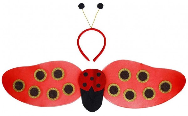 Ladybug disguise set 2 pieces