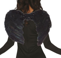 Preview: Feather wings black 50cm x 40cm