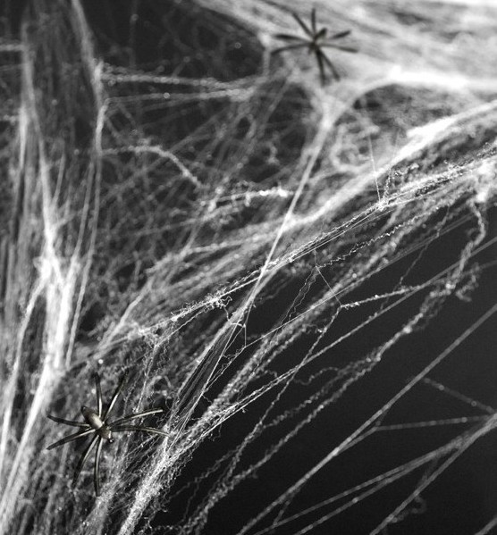 Décoration Halloween toile d'araignée avec araignées