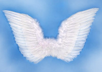 Oversigt: Angel wing Rafael 75x45cm