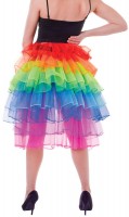 Oversigt: Tulle nederdel tog regnbue