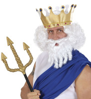 Parrucca da uomo bianca Poseidon con barba