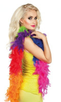 Boa plume coloré Gay Pride 1,8m