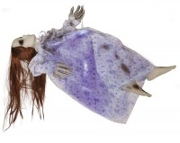 Förhandsgranskning: Animerad skräckdocka lila 60cm