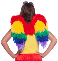Preview: Heavenly wings rainbow 50cm