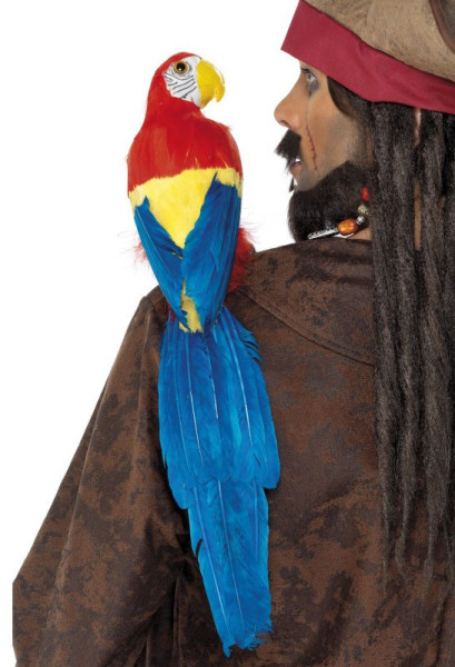 Papuga z gumowym wspornikiem 50cm