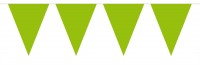 Guirnalda de banderines verdes 10m