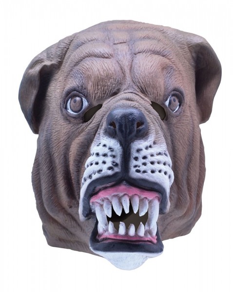 Bulldog Baxter maschera a testa intera