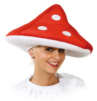 Grand chapeau de champignon