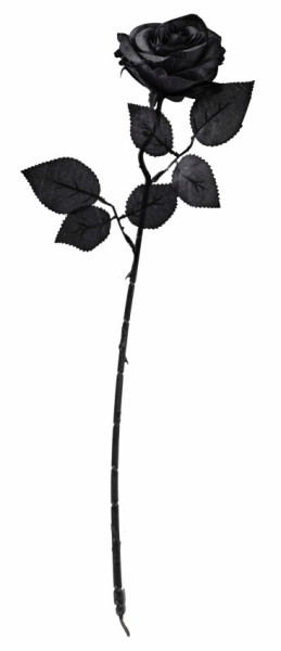 Floral Stem- Single Black Rose