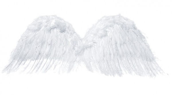 Archangel Gabriel wings 75x30cm 2