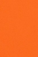 Plain colored paper tablecloth orange 137x274cm