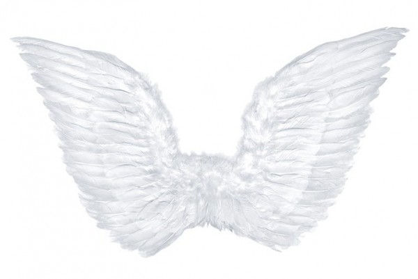 Angel wings Rafael 75x45cm