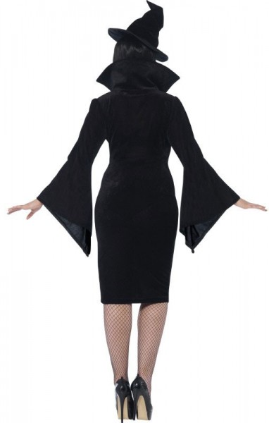 Curvy witch costume XXL 2