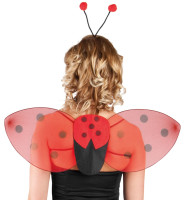 Oversigt: Ladybug kostume sæt 2 stk