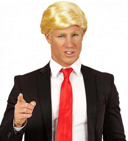 Mister President wig 2